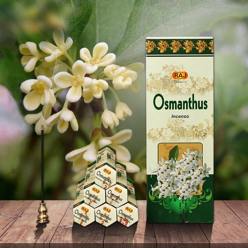 India Imported Incense Osmanth - đánh giá và giá Candle Fragrance Supplies